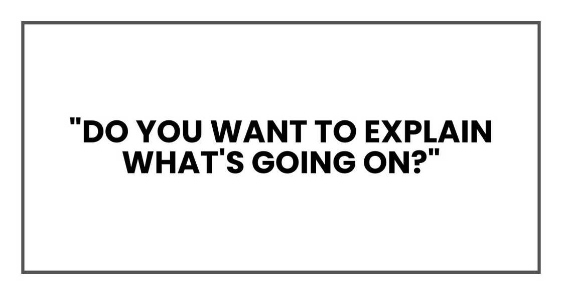 "Do you want to explain what's going on?" "Do you want to explain what's going on?"