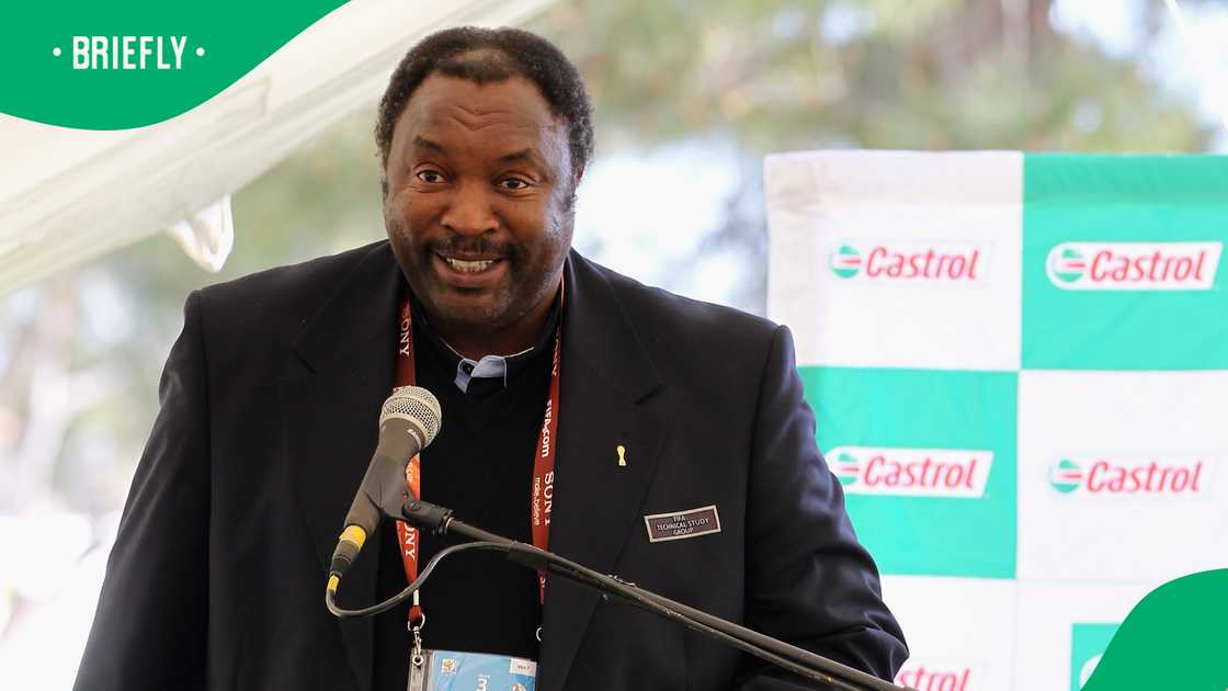 His mining interests include a 15% stake in Thunderstone Mining, 10% in Life Diamonds, and ventures in coal mining