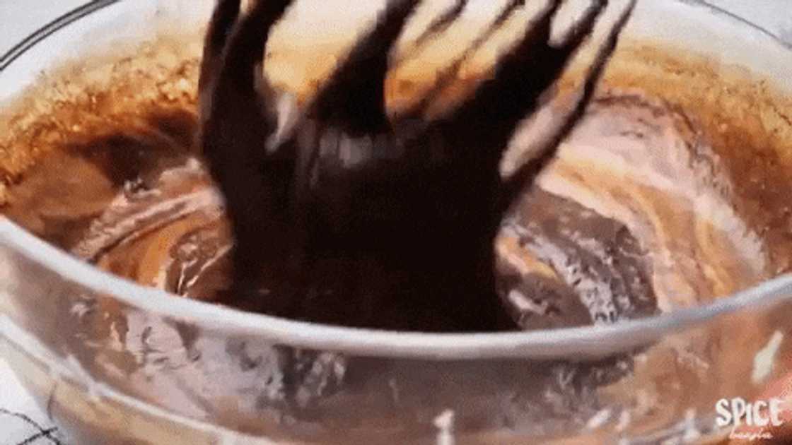 chocolate brownie chocolate brownie