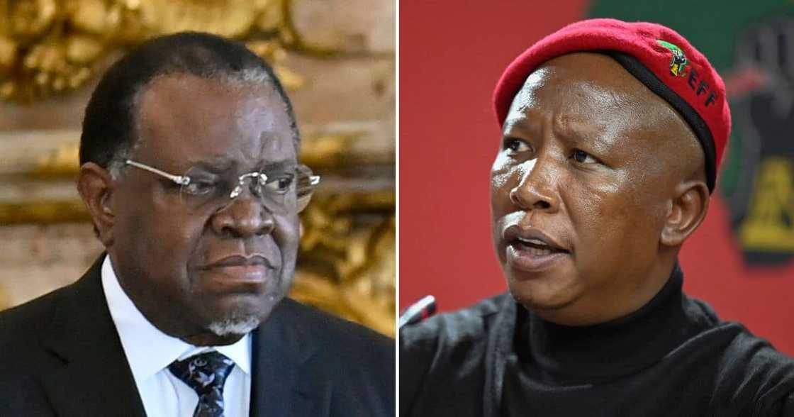 EFF, Julius Malema, Namibia, criminal case, President Hage Geingob, Cyril Ramaphosa, farm theft