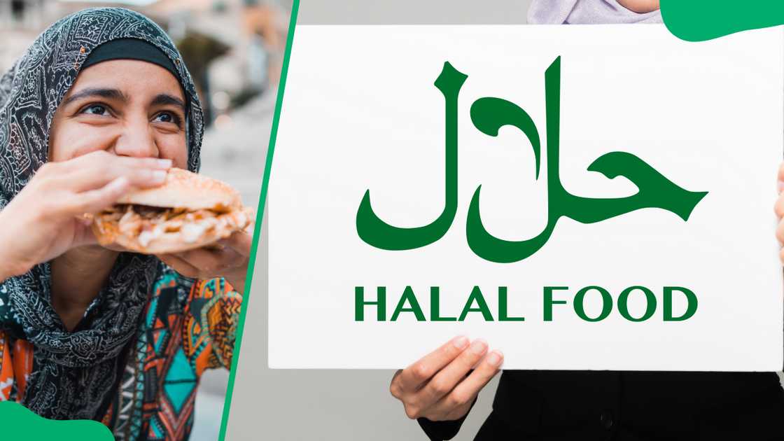 Halaal Restaurants in V&A Waterfront, South Africa Halaal Restaurants in V&A Waterfront, South Africa