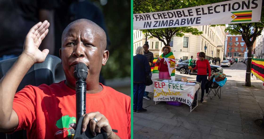 EFF leader Julius Malema said his party was willing to help Zimbabweans get home so they could participate in the elections EFF leader Julius Malema said his party was willing to help Zimbabweans get home so they could participate in the elections