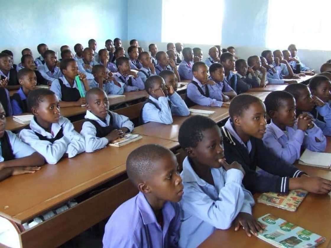 List of primary schools in Durban