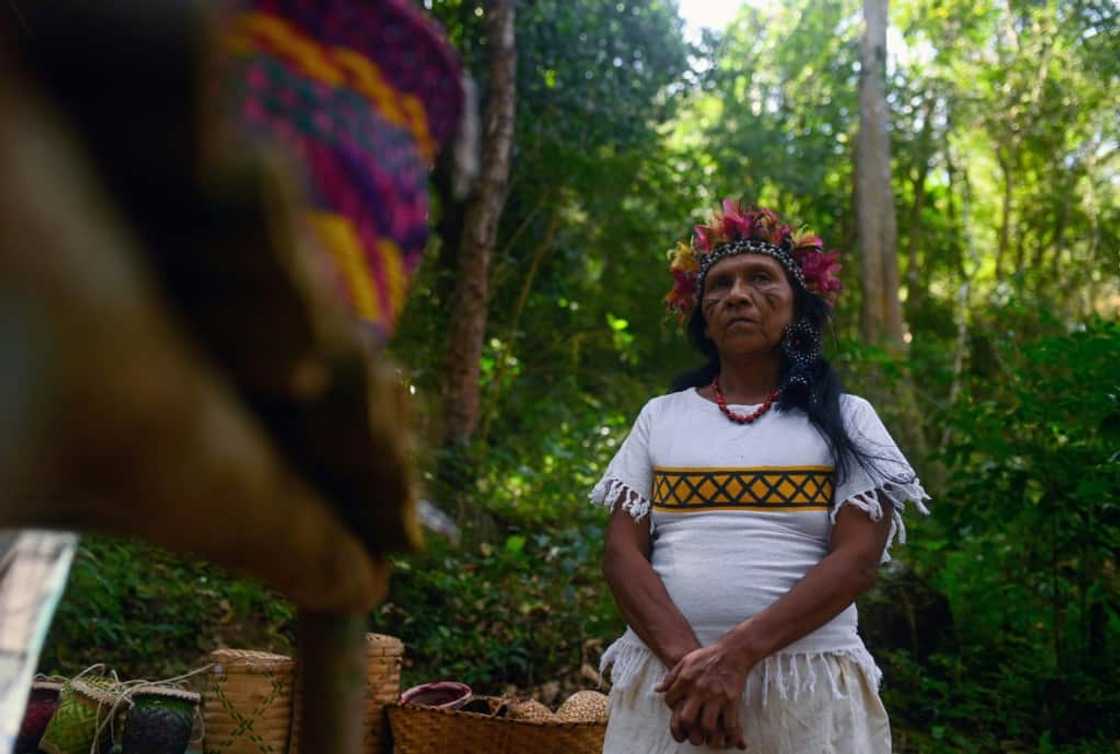 Guarani chief Maria Helena Jaxuka says she is eager to move her people to their new home, Brazil's first municipal nature reserve. Guarani chief Maria Helena Jaxuka says she is eager to move her people to their new home, Brazil's first municipal nature reserve.