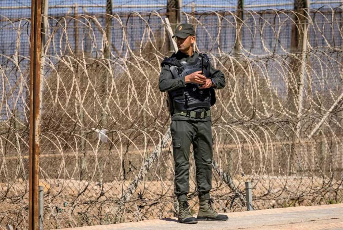 A Moroccan security officer on the border fence separating Morocco from Spain's North African Melilla enclave, pictured here in June A Moroccan security officer on the border fence separating Morocco from Spain's North African Melilla enclave, pictured here in June