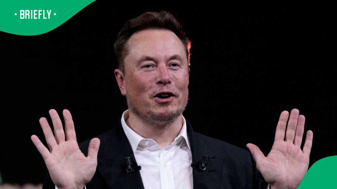 Elon Musk said America and Europe must have a tariff-free zone. Elon Musk said America and Europe must have a tariff-free zone.