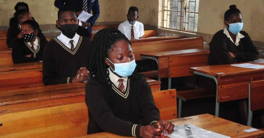 Department of Basic Education, DBE, Afriforum, POPIA, matric results, newspapers, National Senior Certificate Department of Basic Education, DBE, Afriforum, POPIA, matric results, newspapers, National Senior Certificate