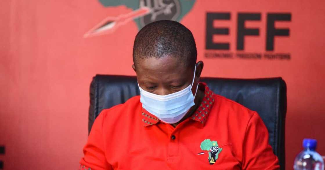 Julius Malema trends as Mzansi questions the EFF leader' silence around the vaccine Julius Malema trends as Mzansi questions the EFF leader' silence around the vaccine