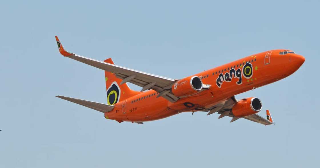 Mango Airlines, Business Rescue, Employees, Covid-19