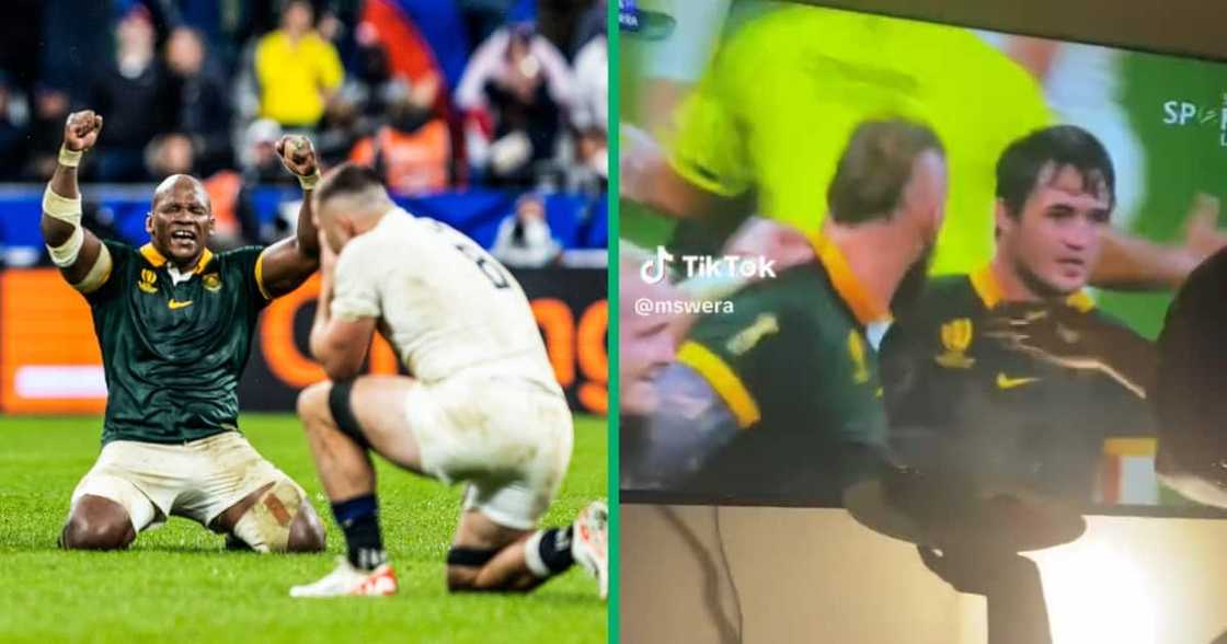 Sprinboks fan showed support during England match