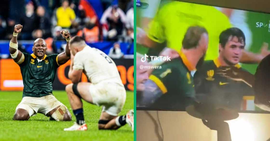 Sprinboks fan showed support during England match Sprinboks fan showed support during England match