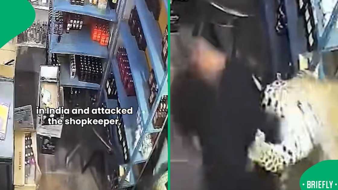 A shopkeeper in India has cheated death after a leopard burst into his store and attempted to bite him several times
