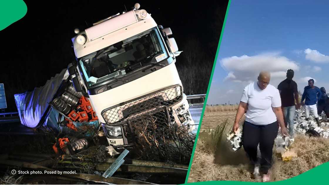 People loot Savanna People loot Savanna