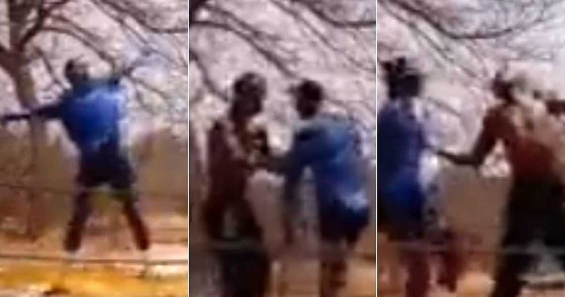 Mzansi, Reacts, to Hilarious Videos, Locals, Imitate WWE Stars Mzansi, Reacts, to Hilarious Videos, Locals, Imitate WWE Stars