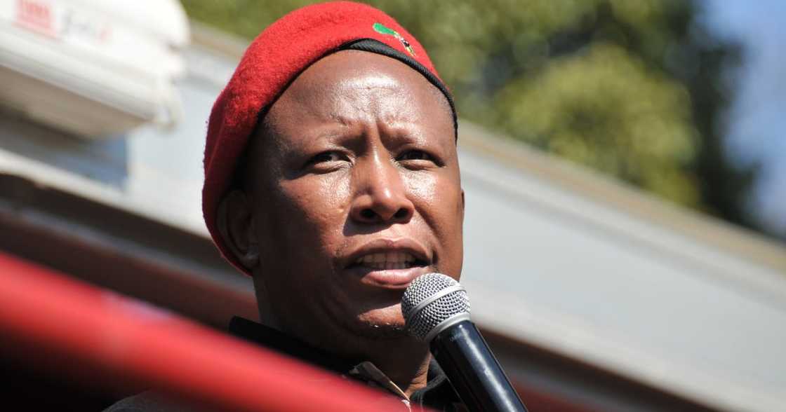 EFF, IEC, Code of Conduct pledge, Local government elections EFF, IEC, Code of Conduct pledge, Local government elections