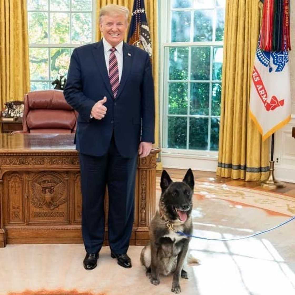 President Trump President Trump