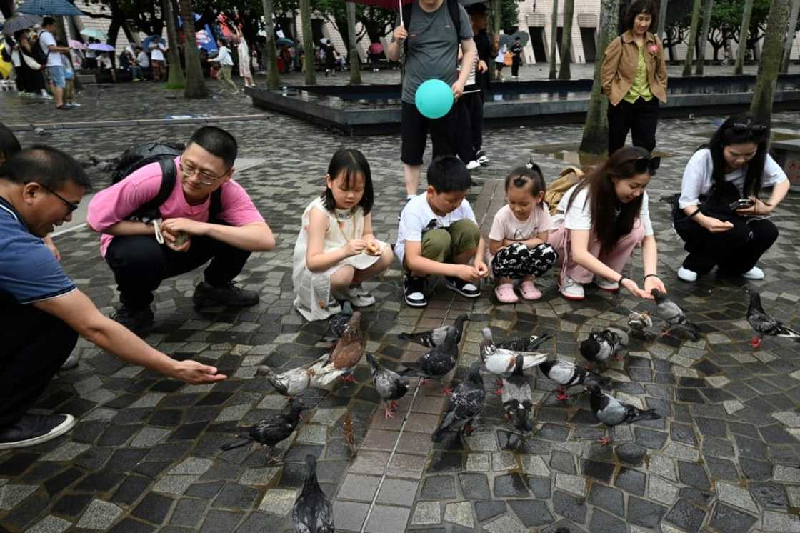 Some tourists and industry members say Hong Kong has less to differentiate itself from other cities these days Some tourists and industry members say Hong Kong has less to differentiate itself from other cities these days