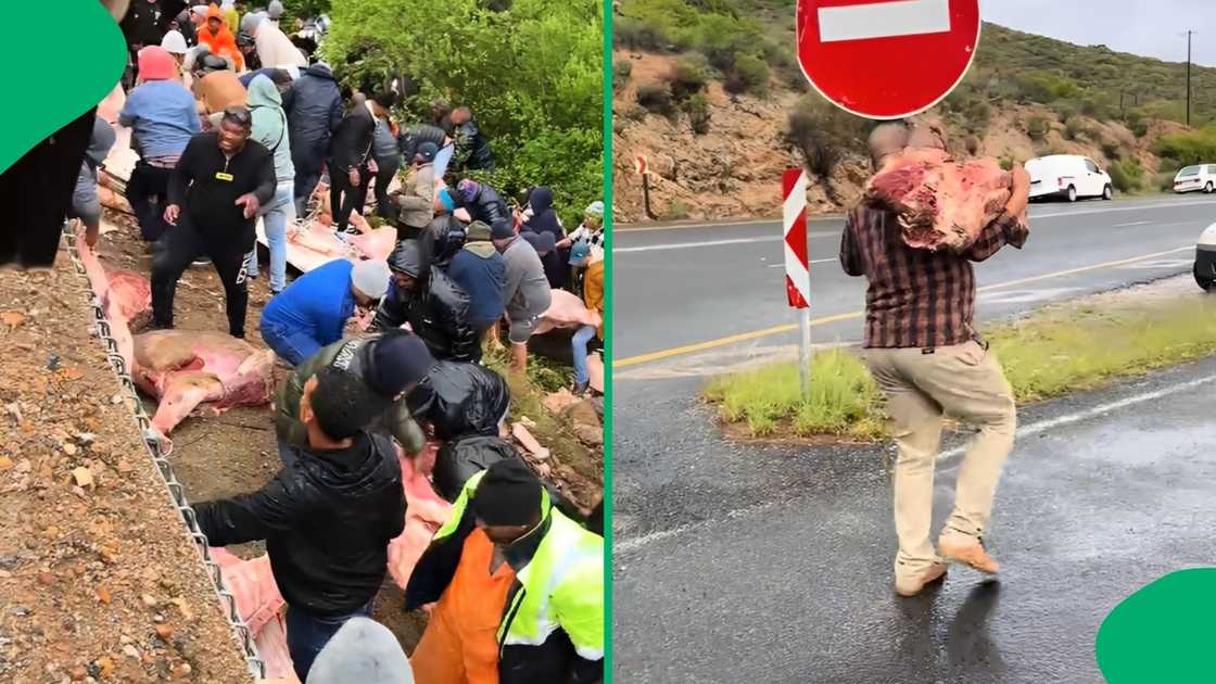 Motorists stopped their cars along the mountain pass to participate in the frantic roadside haul