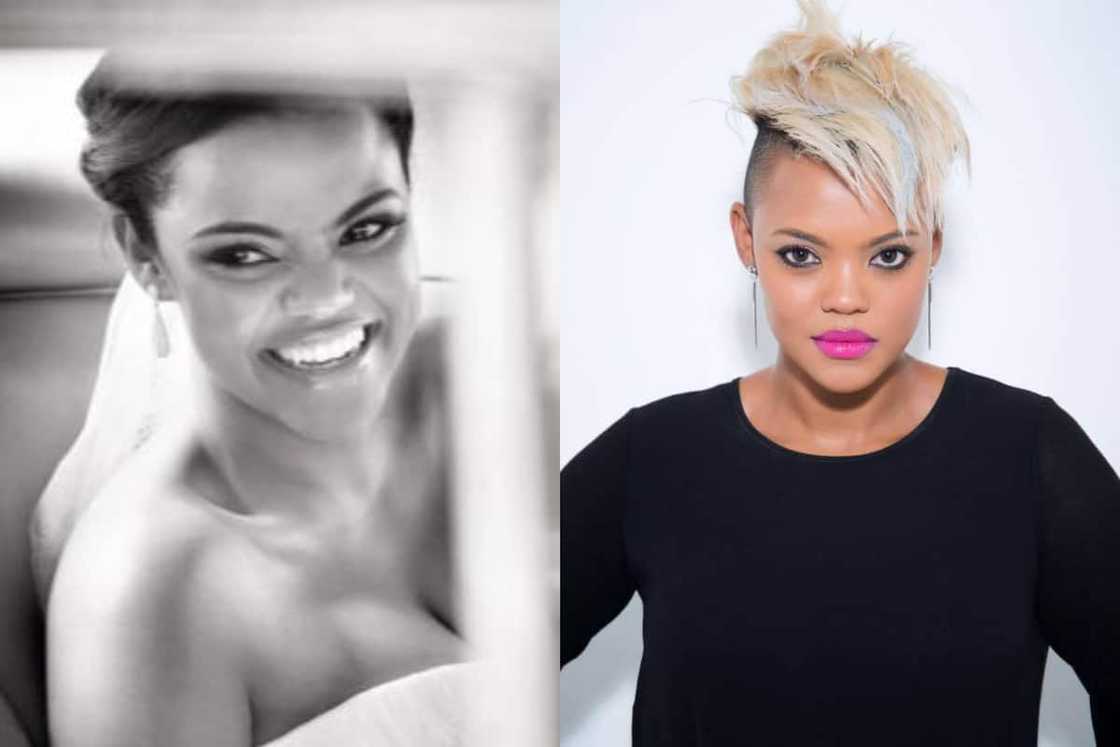 housewives' cast housewives' cast