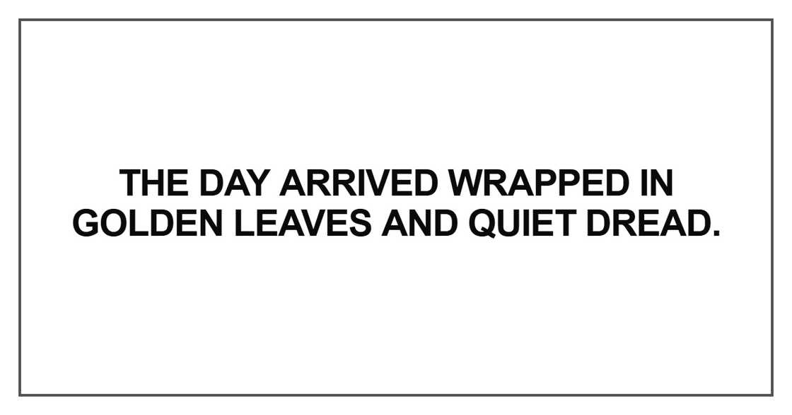 The day arrived wrapped