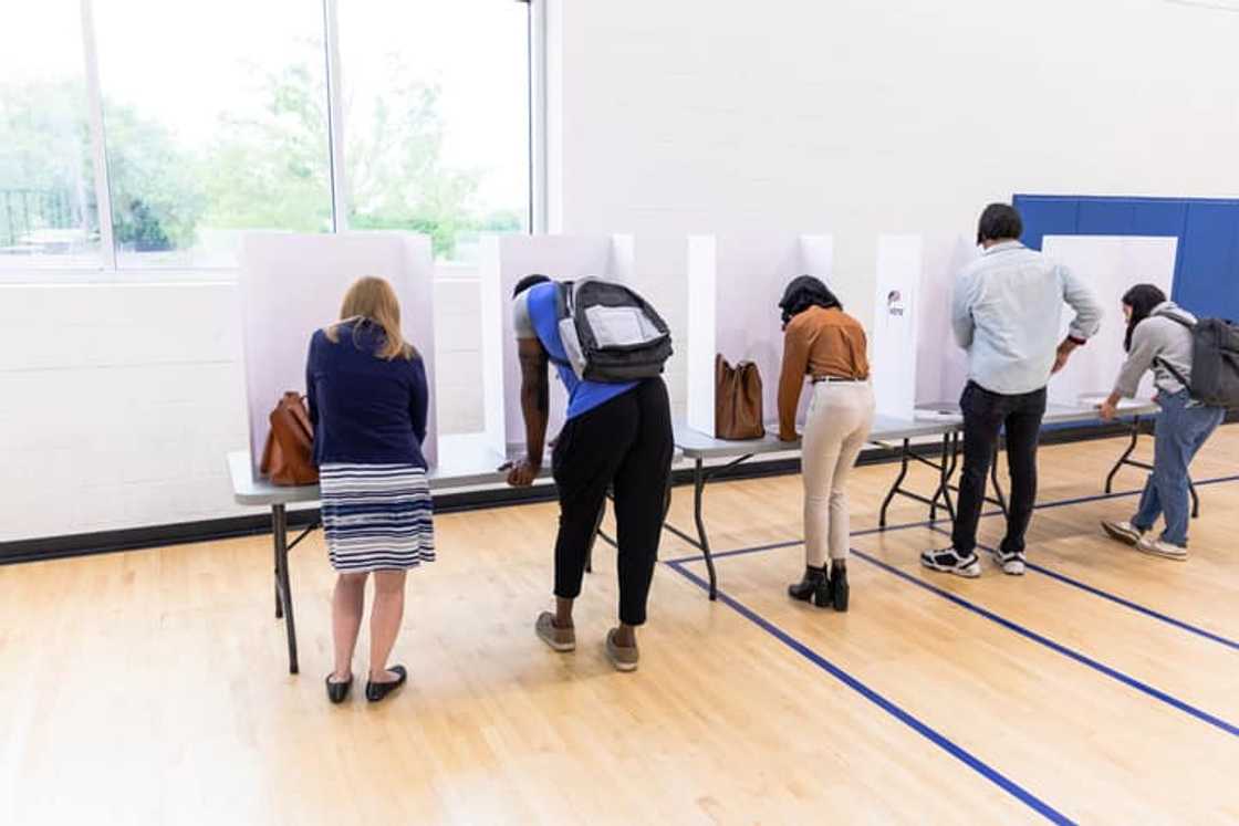 Rear view of diverse people voting in private booths