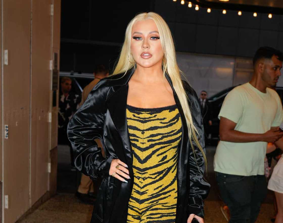 What is Christina Aguilera ethnicity? What is Christina Aguilera ethnicity?