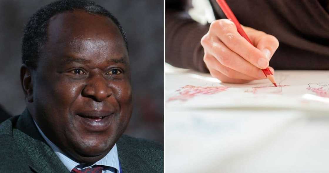 Tito Mboweni, Beautiful Portrait Tito Mboweni, Beautiful Portrait