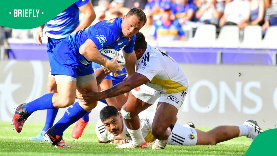 Springboks, Stormers, Dean Fourie, URC
