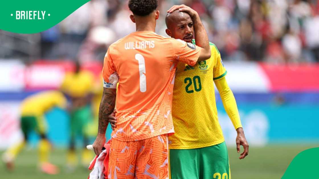 Bafana Bafana, South Africa, Ronwen Williams, FIFA World Cup