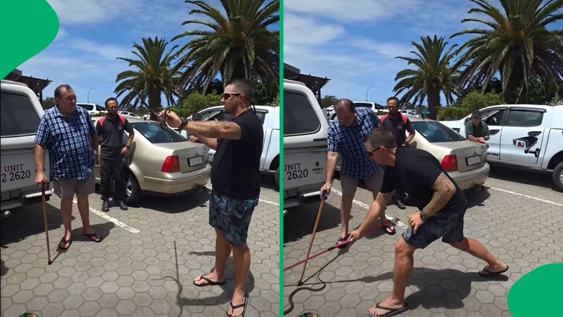 The situation turned tense when the agile reptile jumped out of the handler’s hands onto the ground The situation turned tense when the agile reptile jumped out of the handler’s hands onto the ground