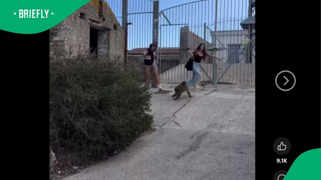 A man shared a clip. A man shared a clip.