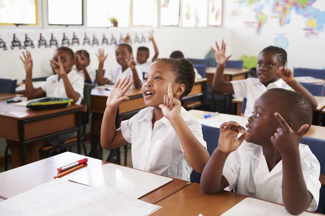 The new bill includes information regarding grade R, language, sign-language, discipline, corporal punishment and school attendance. The new bill includes information regarding grade R, language, sign-language, discipline, corporal punishment and school attendance.
