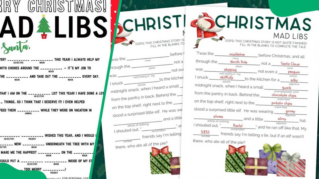 Christmas Mad Libs Christmas Mad Libs