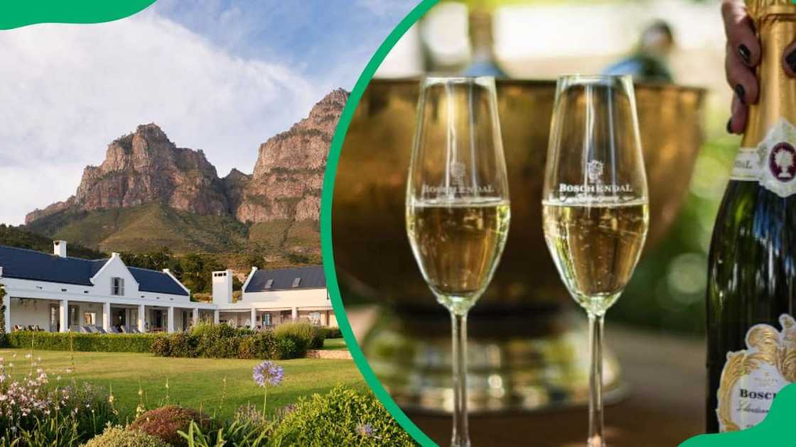 Wine farms in Cape Town