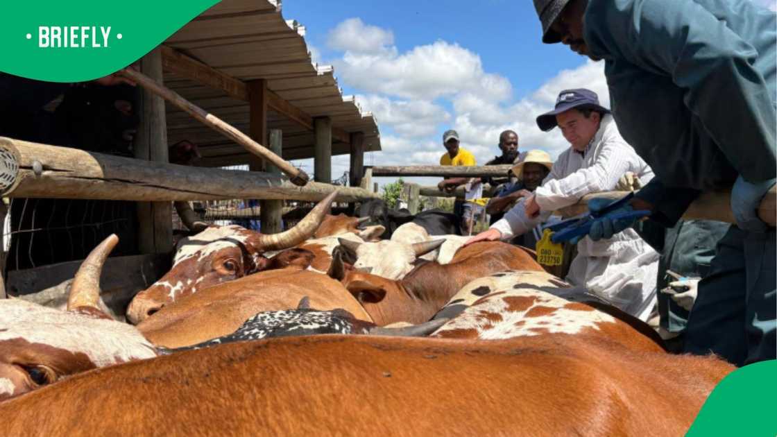 The latest outbreak has resulted in 210 confirmed cases in the province