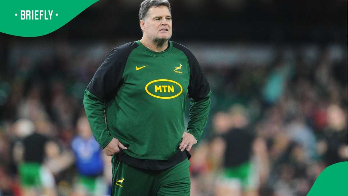 Erasmus, ahead of the game against the Barbarians, stated that Kolisi won't be playing every single match in 2025. Erasmus, ahead of the game against the Barbarians, stated that Kolisi won't be playing every single match in 2025.