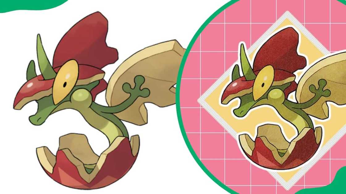 Flapple Pokemon Flapple Pokemon