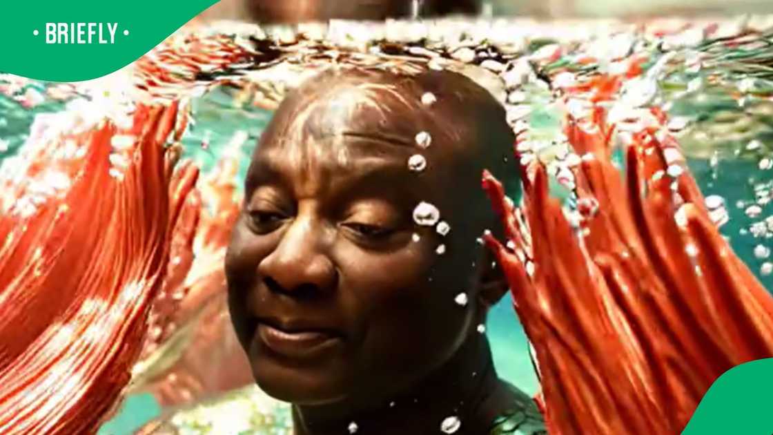 Ramaphosa reimagined by SA