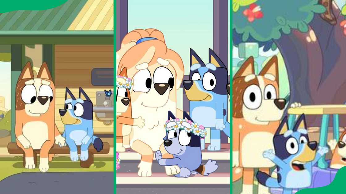 Bluey episodes characters