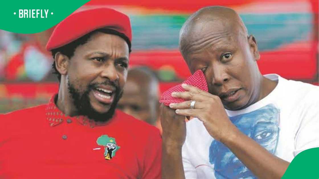 Julius Malema and Mbuyiseni Ndlozi