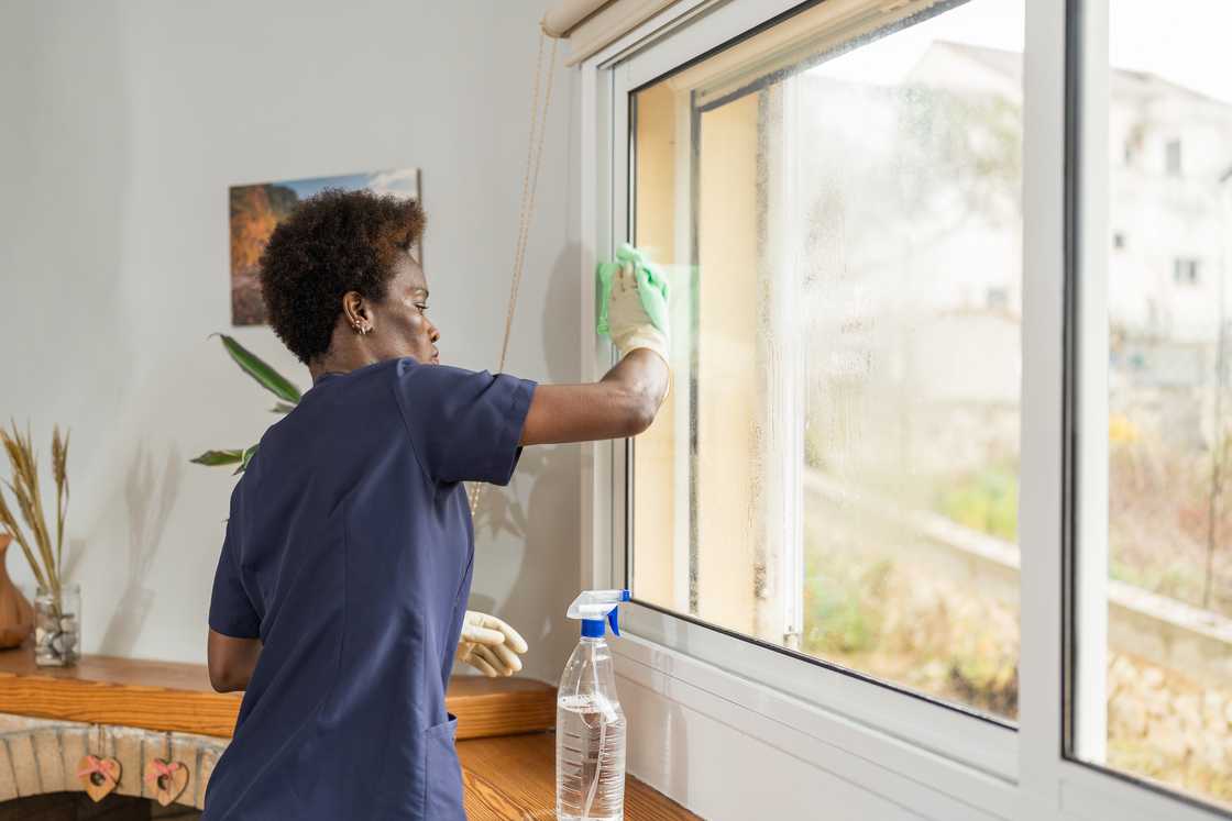 A stock photo of a domestic worker apartment cleaning an apartment