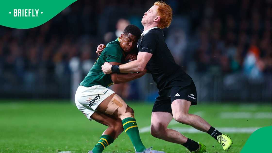 Grants Williams, Finlay Christie, New Zealand, South Africa, Rugby Championship.