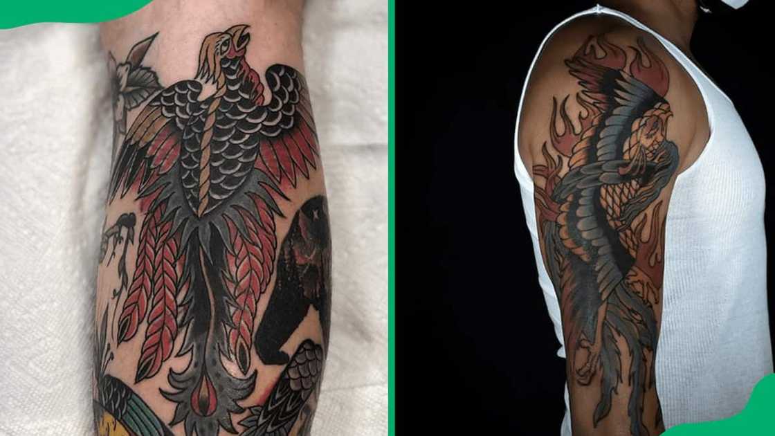 Traditional phoenix tattoos Traditional phoenix tattoos