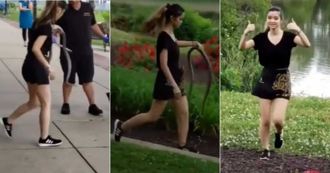 Woman, Picks Up, Snake, Walkway, Mzansi, Stunned, Young, Bravery, Video, Live, Social media Woman, Picks Up, Snake, Walkway, Mzansi, Stunned, Young, Bravery, Video, Live, Social media