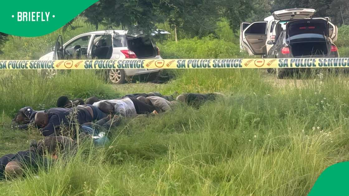 The South African Police Service arrested eight people who were allegedly about to commit a robbery in Mpumalanga