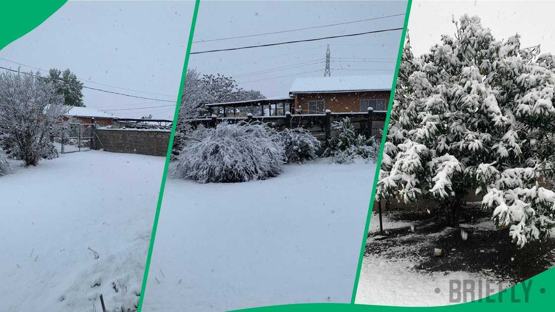 Snow blanketed Dannhauser in Northern KwaZulu-Natal on Saturday, 21 September 2024.