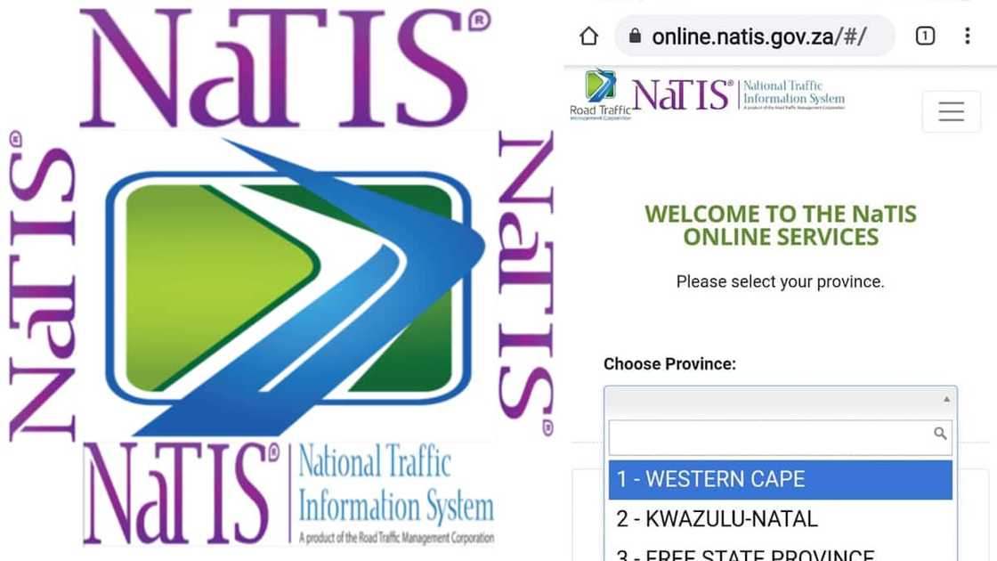 Traffic system Traffic system