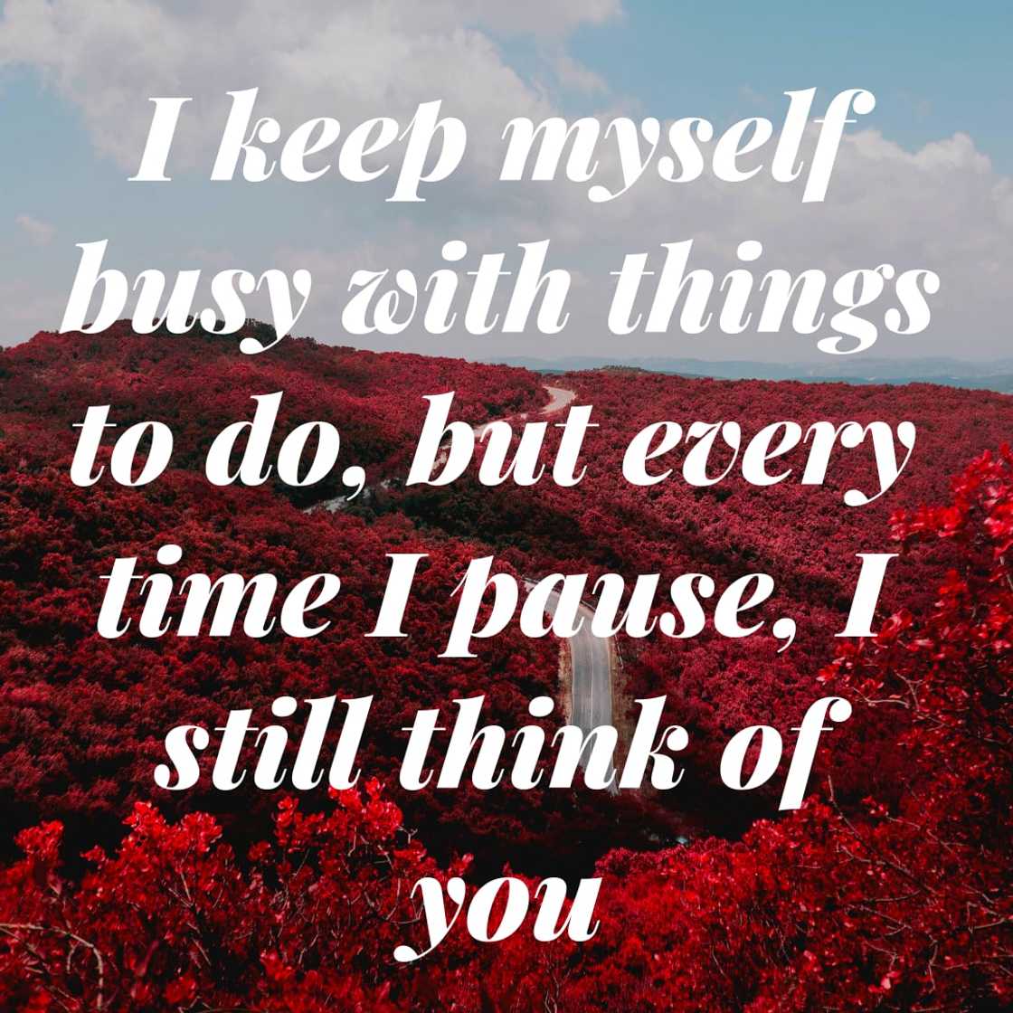 thinking of you quotes and images thinking of you quotes and images