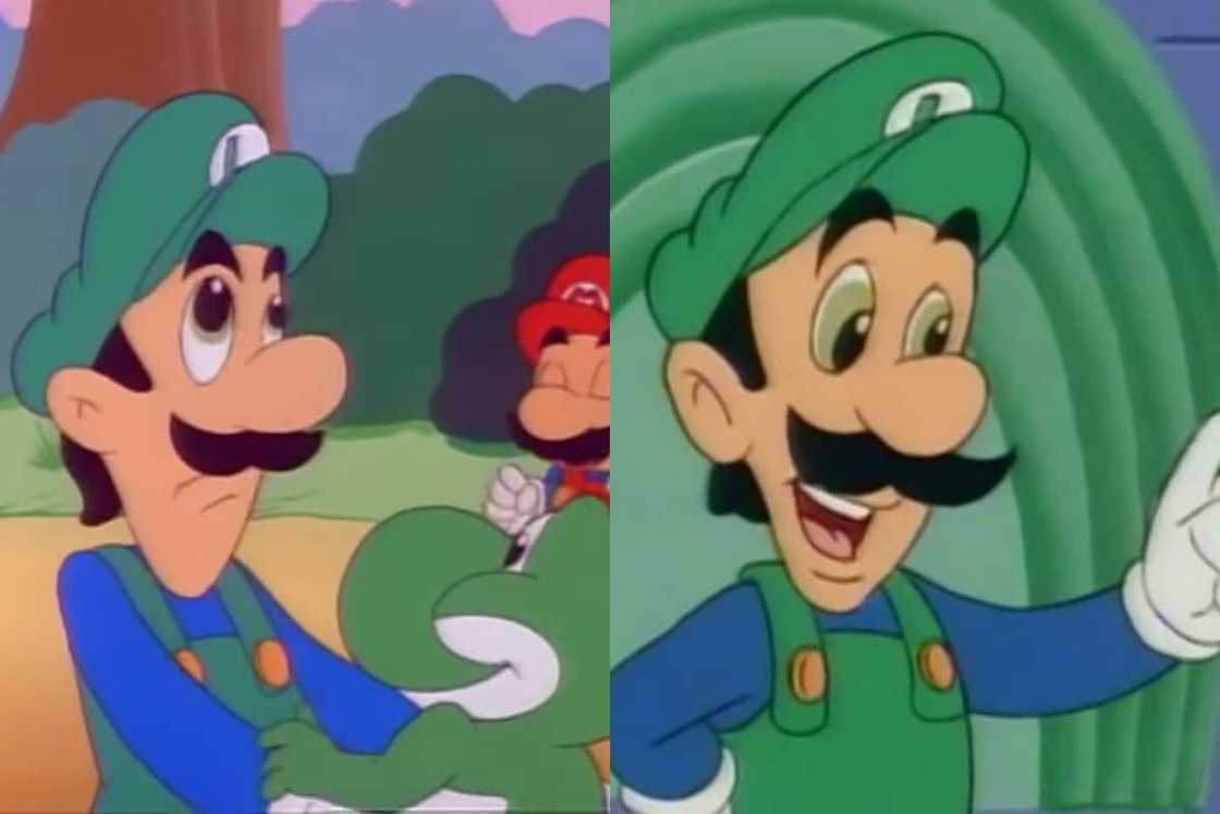 Luigi from Super Mario Luigi from Super Mario