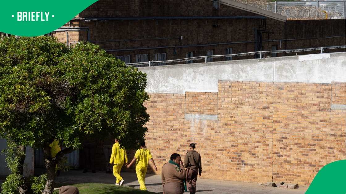 The matter was immediately prioritised and handed to the East London Serious Corruption Investigation unit for further probing. The matter was immediately prioritised and handed to the East London Serious Corruption Investigation unit for further probing.